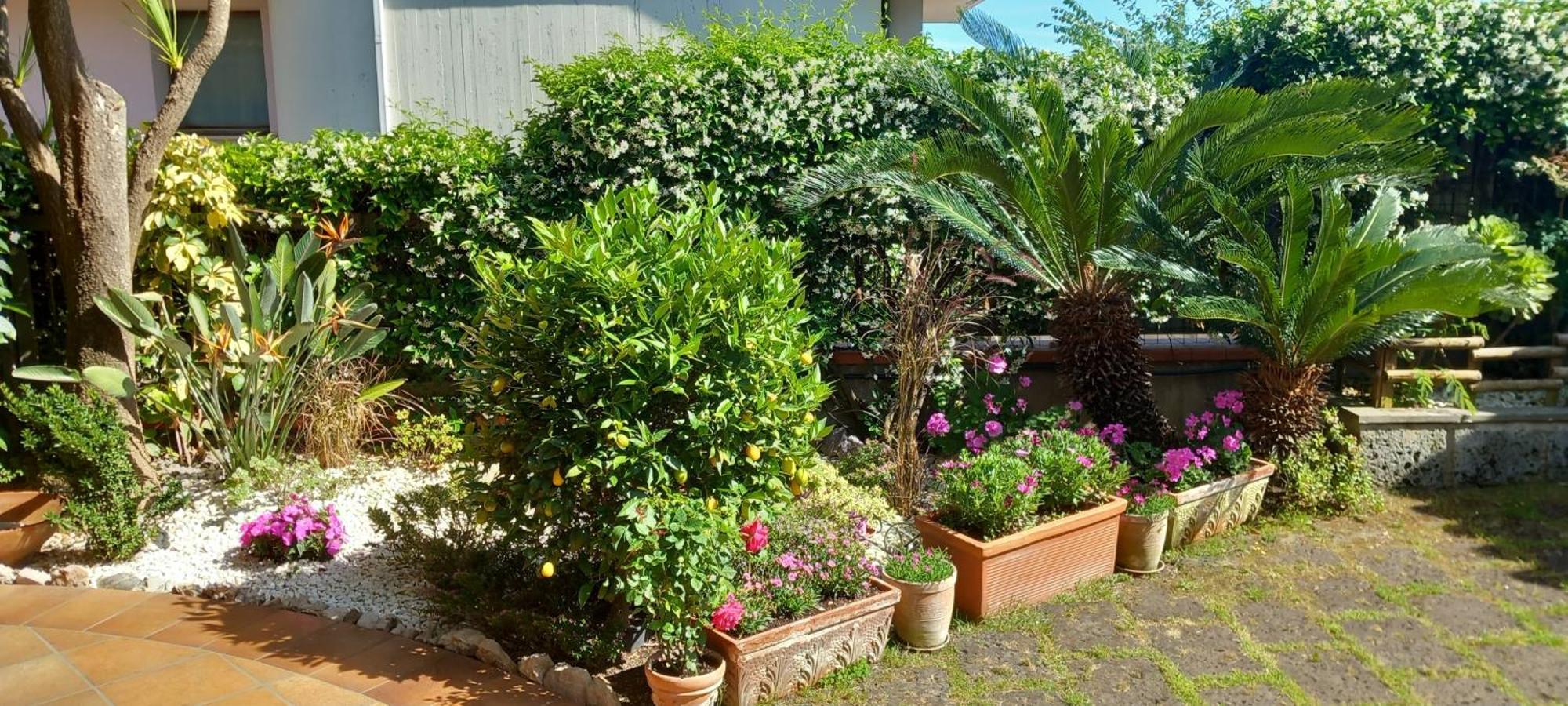 B&B Villa Noemi Formia Buitenkant foto